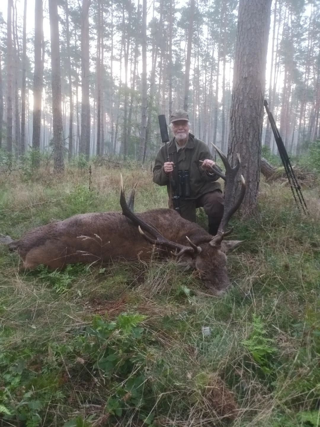Rothirsch Abschuss im Morgenwald — VENATOR Polen
