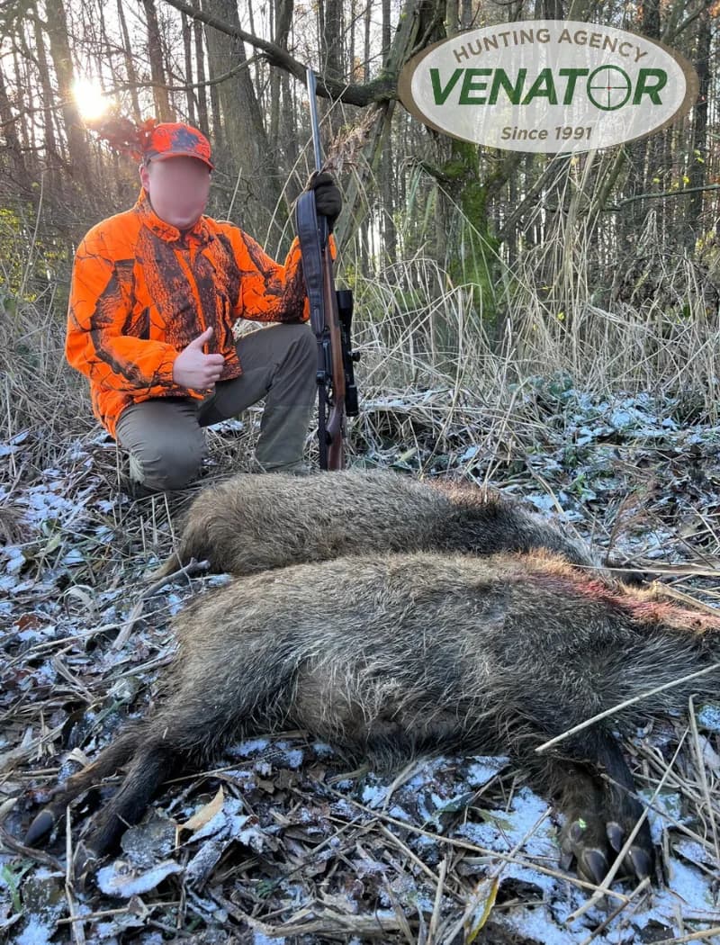 Jagd in Polen — Schalenwild VENATOR Jagdagentur