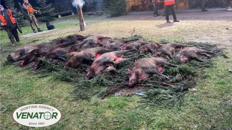 Drückjagd Schützen — Polen Jagdreise VENATOR