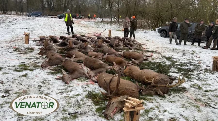 Drückjagd Polen - Schützen im Einsatz