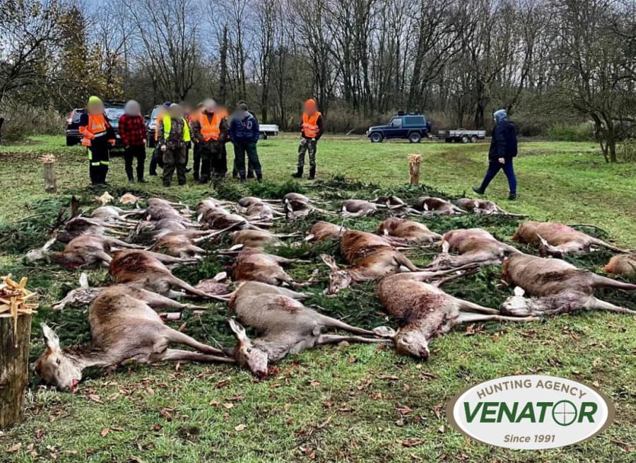 Drückjagd Strecke mit Jägern — VENATOR 1991